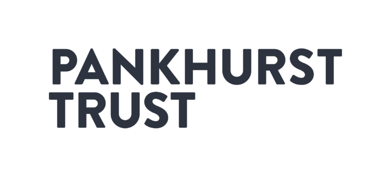 Pankhurst Trust #2d333f Positive